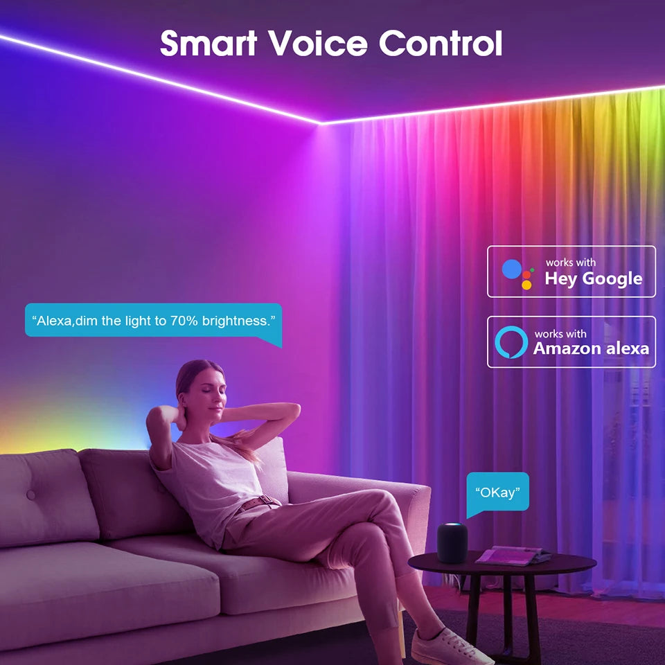 Smart LED Strip Lights - WiFi RGBIC Alexa Google Compatible